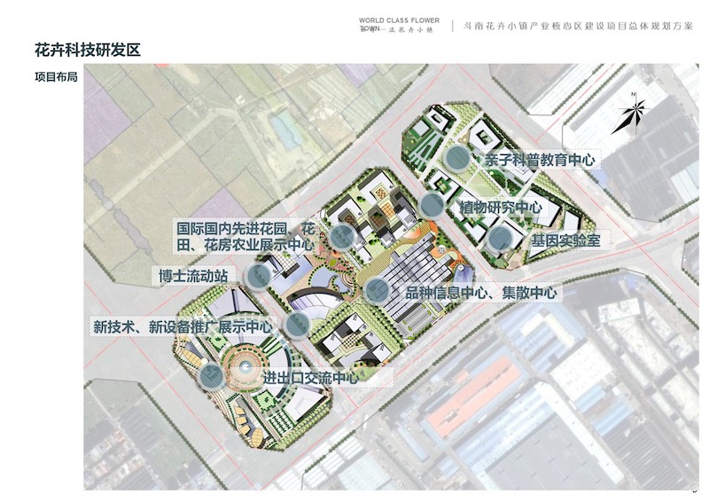 斗南花卉小镇 (9).JPG