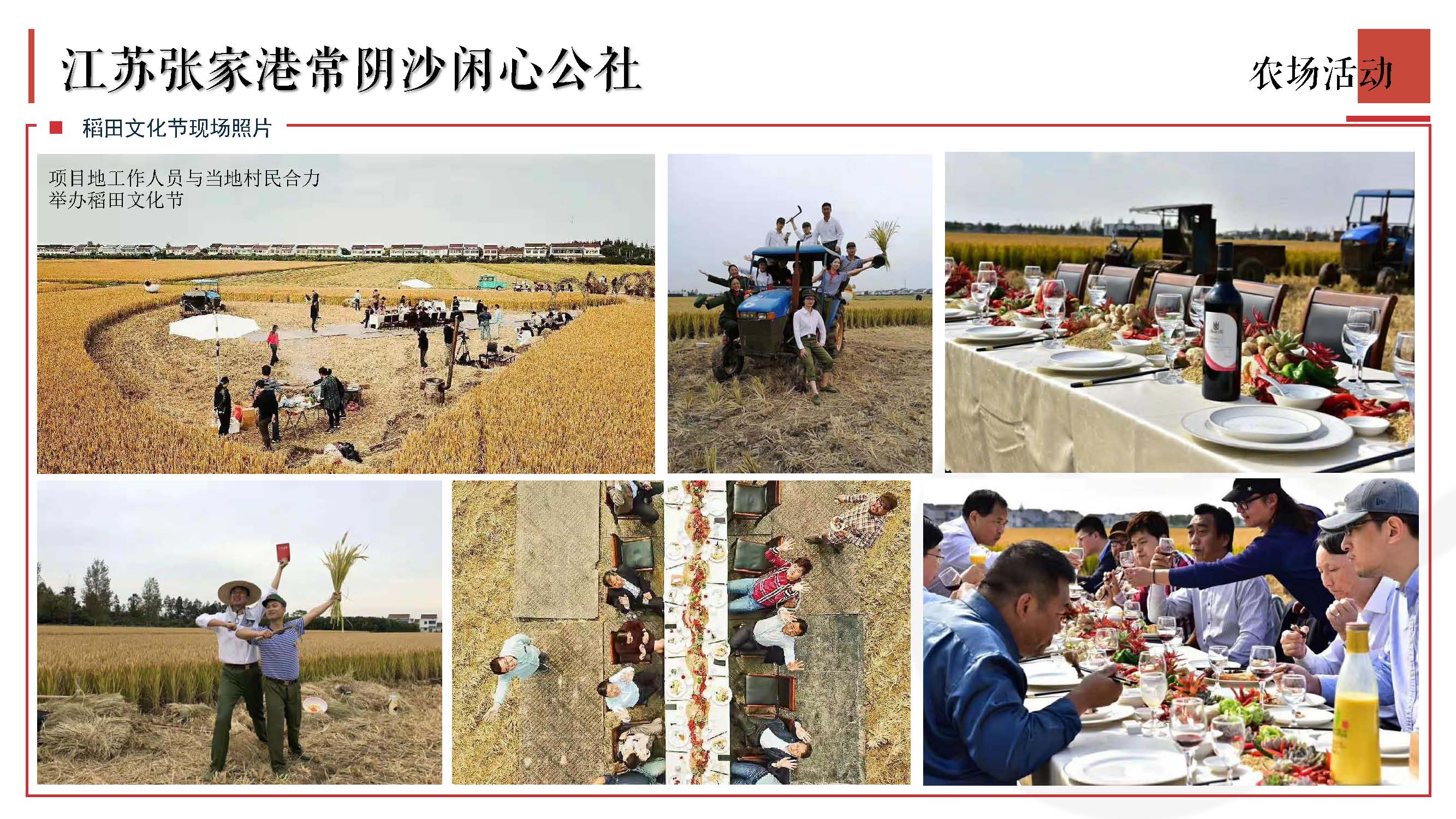 天开乡村振兴案例-2022_页面_16